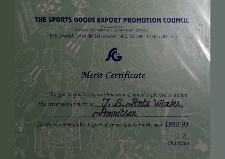 theSports-07