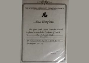 theSports-08