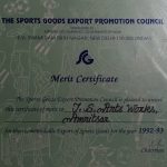 theSports-07
